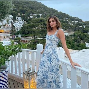 Reformation Nikita Dress in Pompadour